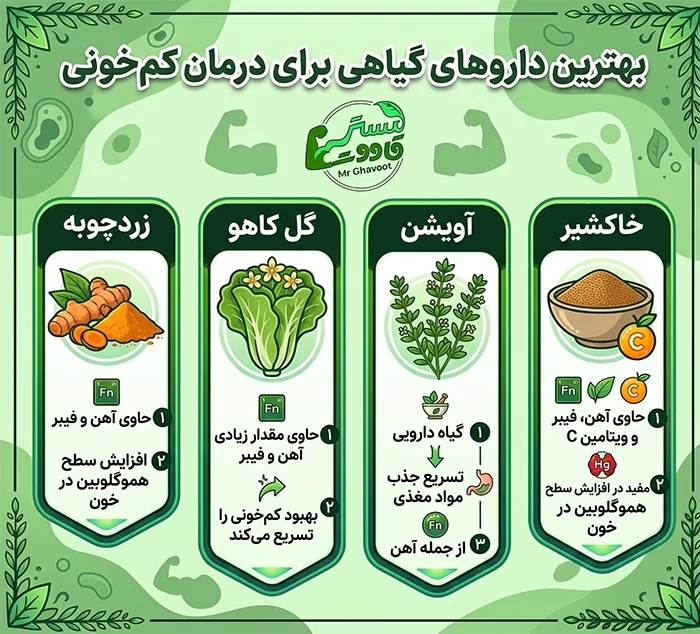 داروی گیاهی برای کم خونی