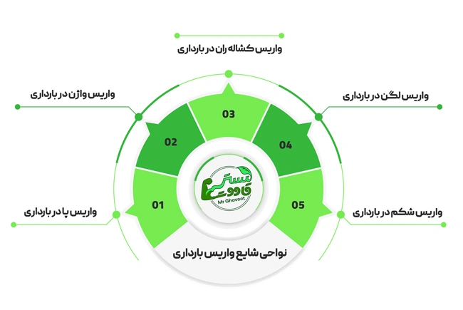 نواحی واریس در بارداری