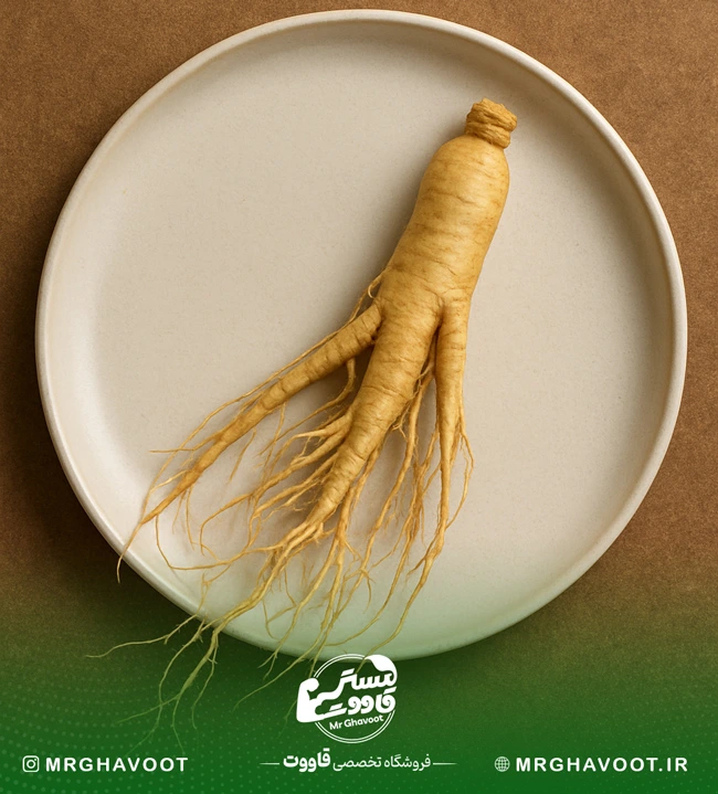 خواص جینسینگ سفید برای مردان