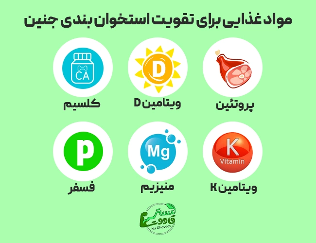 مواد غذایی برای تقویت استخوان بندی جنین