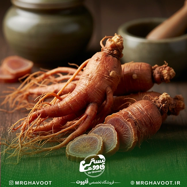 جینسینگ قرمز