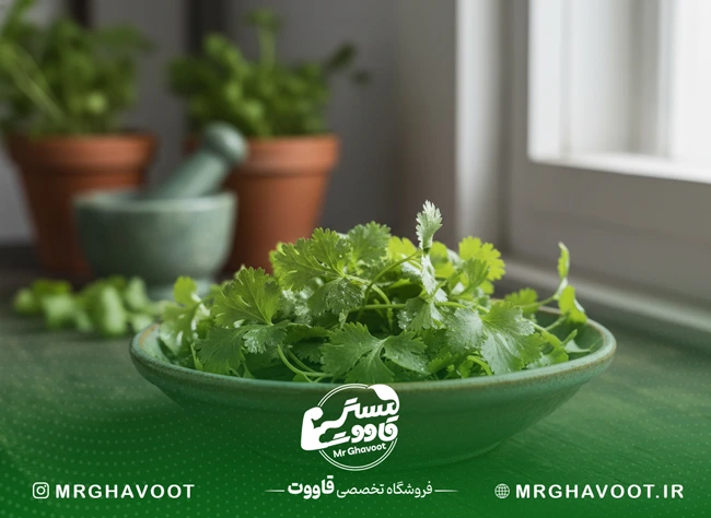 گشنیز داروی تقویت جنسیی مردان گیاهی